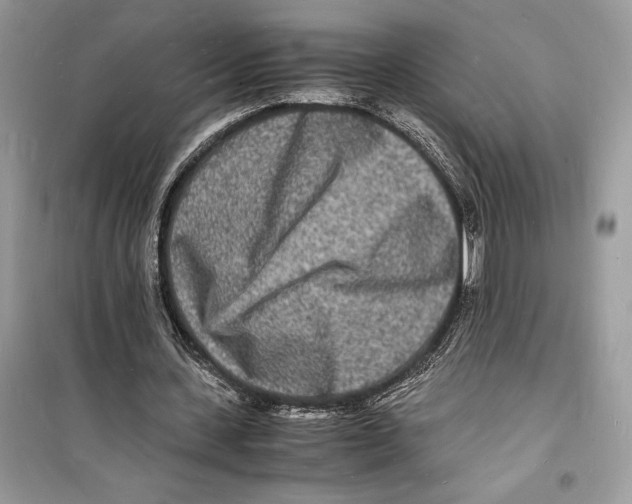 X0000098180531200805221539