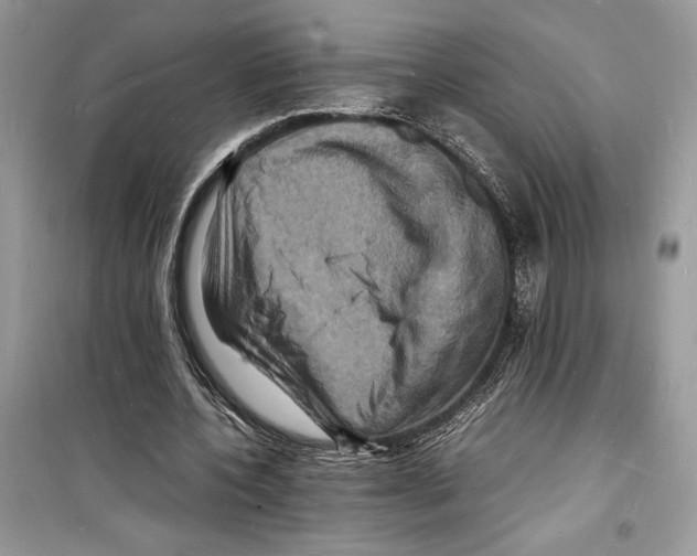 X0000098180532200805221539