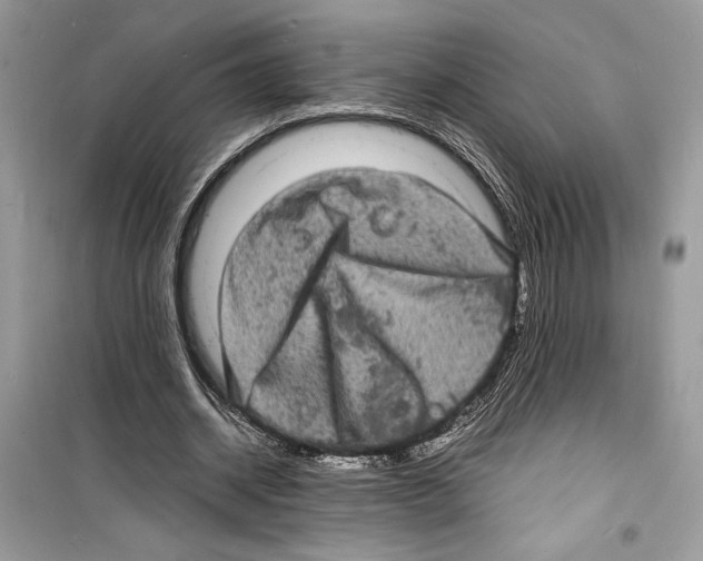 X0000098180534200805221539