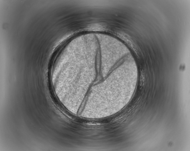 X0000098180535200805221539