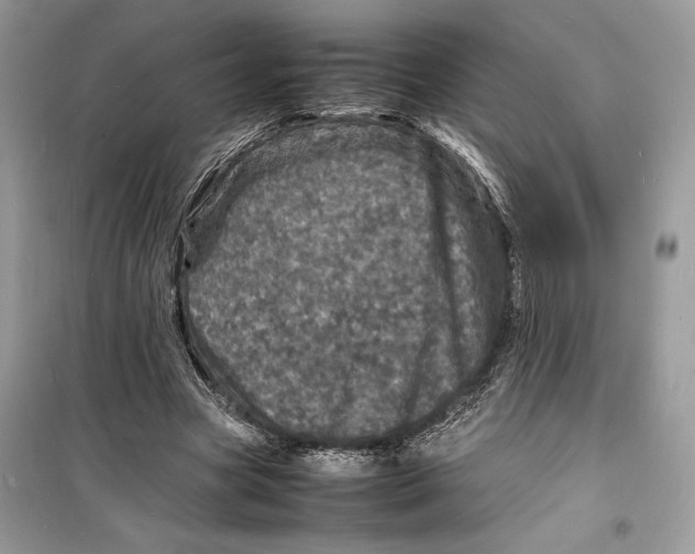 X0000098180537200805221539