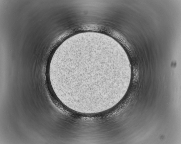 X0000098180538200805221539