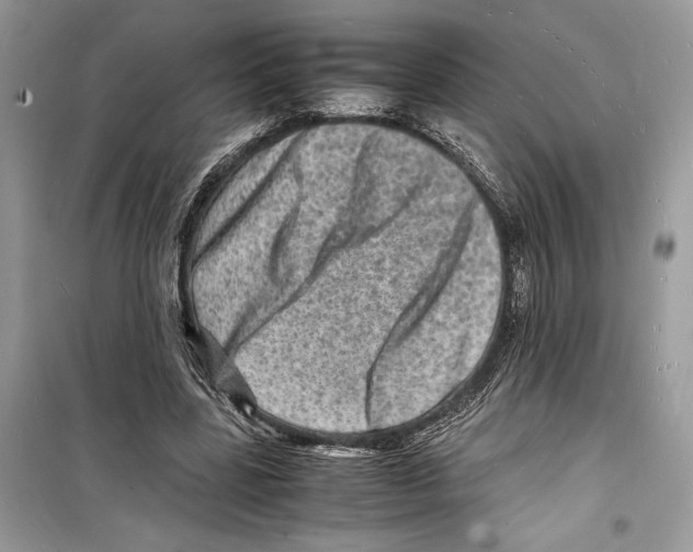 X0000098180539200805221539