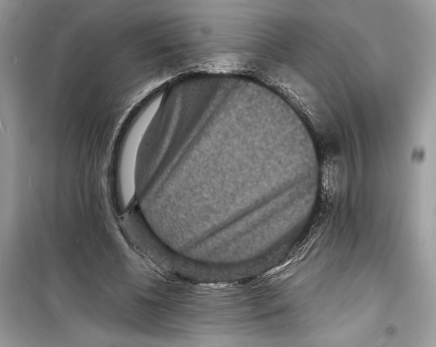 X0000098180540200805221539