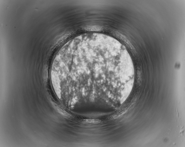 X0000098180541200805221539