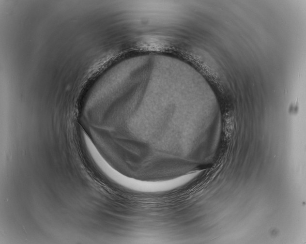 X0000098180544200805221539