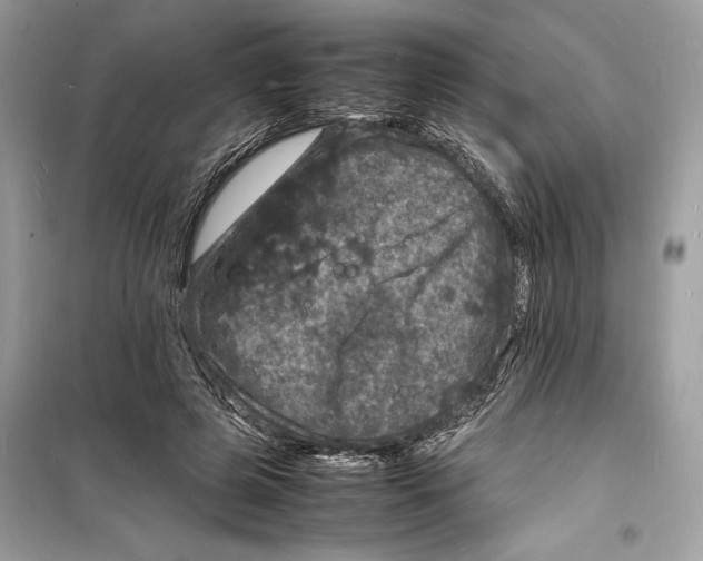 X0000098180545200805221539