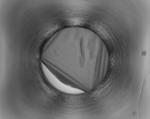 X0000098180546200805221539