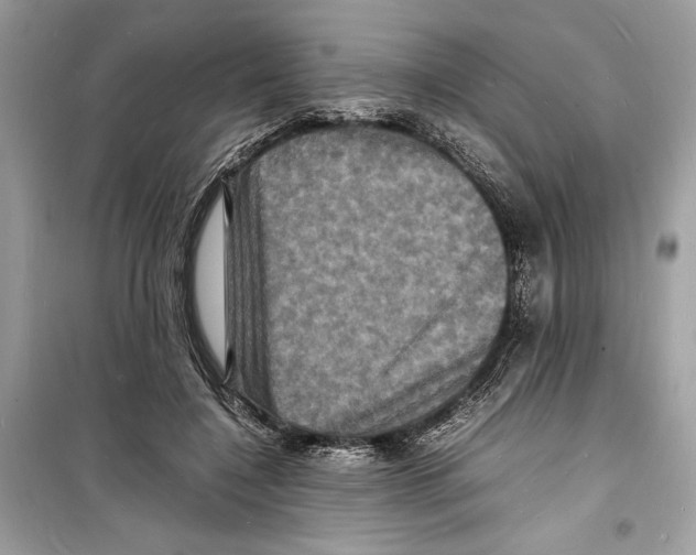 X0000098180548200805221539