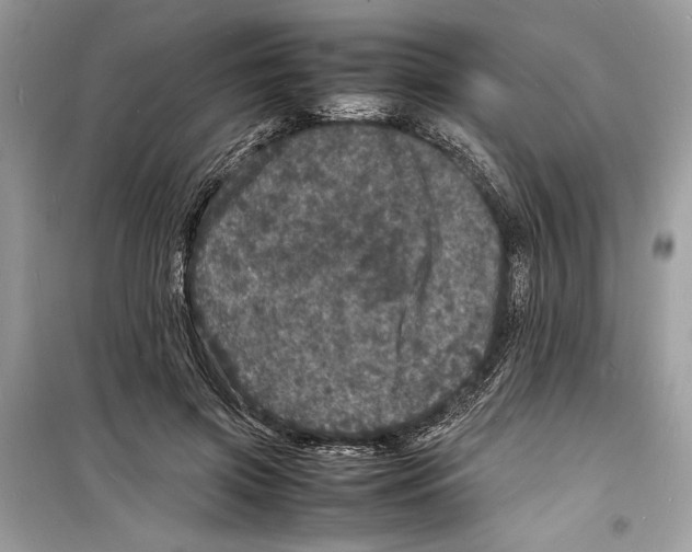 X0000098180549200805221540