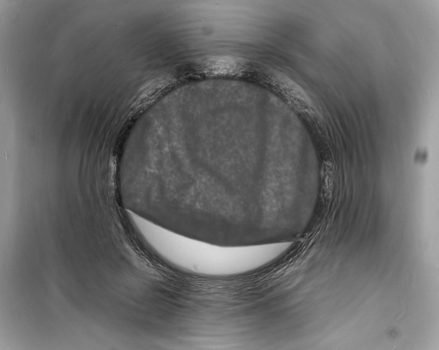 X0000098180550200805221540