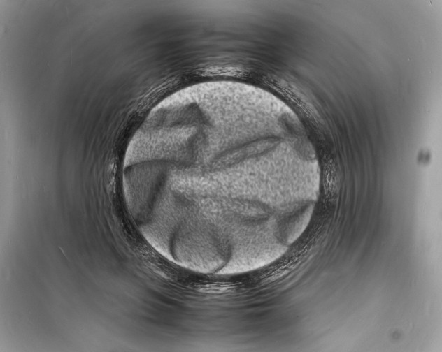 X0000098180551200805221540