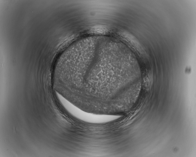 X0000098180552200805221540