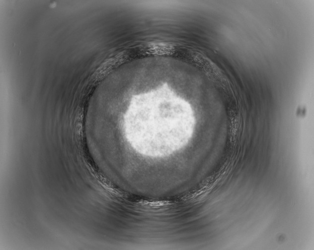 X0000098180553200805221540