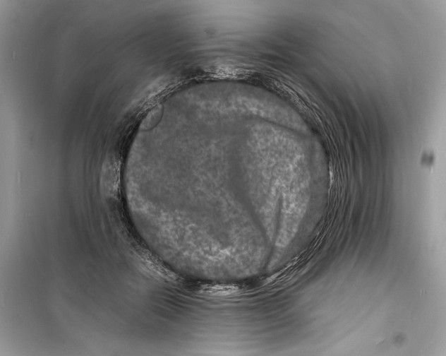 X0000098180554200805221540