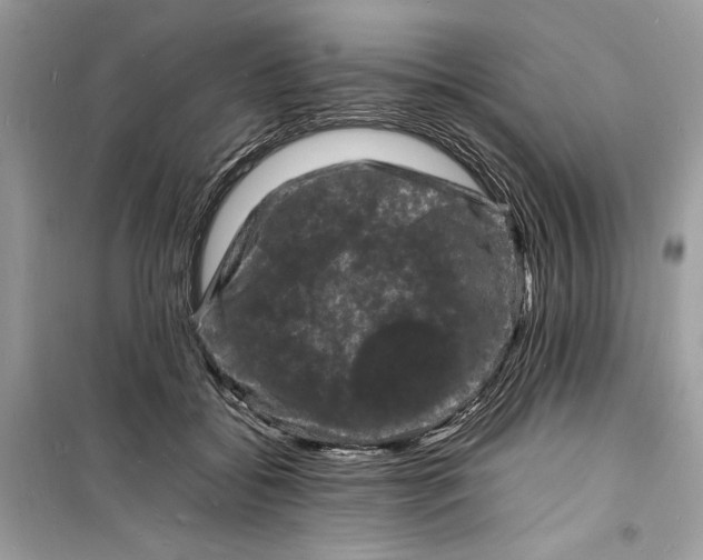 X0000098180556200805221540