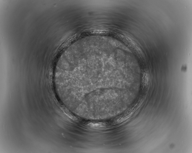 X0000098180557200805221540