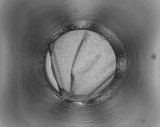 X0000098180558200805221540