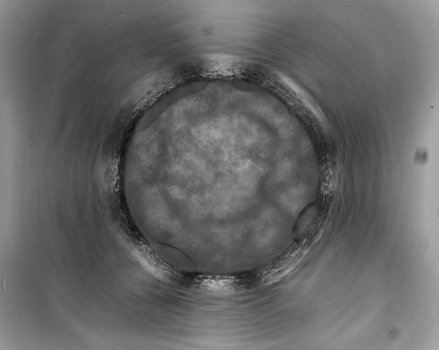 X0000098180560200805221540