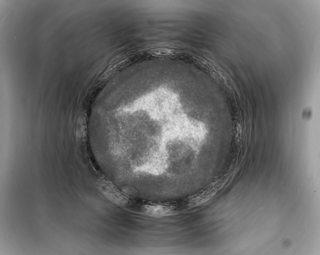 X0000098180561200805221540