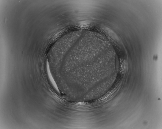 X0000098180562200805221540