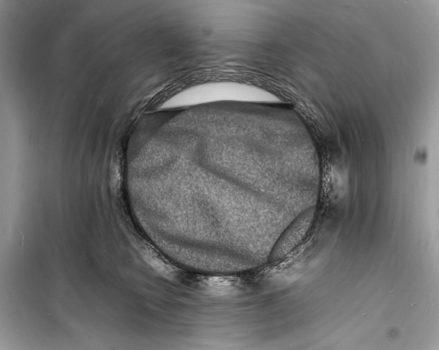 X0000098180566200805221540