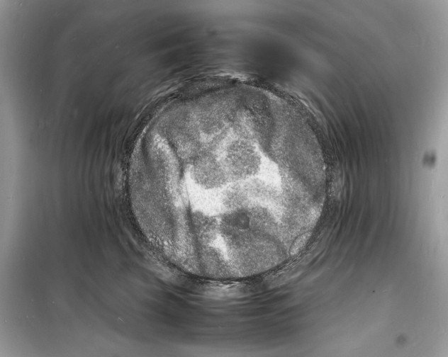 X0000098180569200805221540