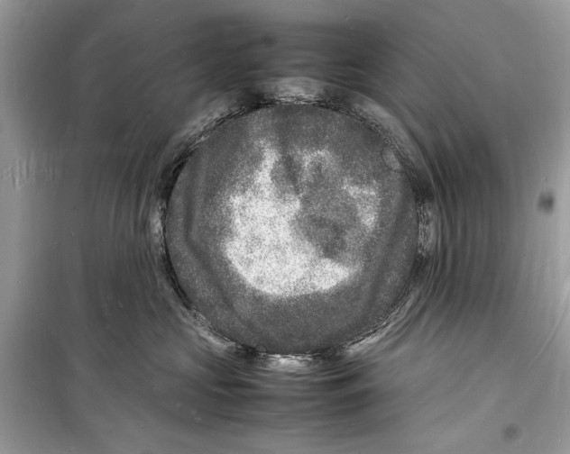 X0000098180573200805221540