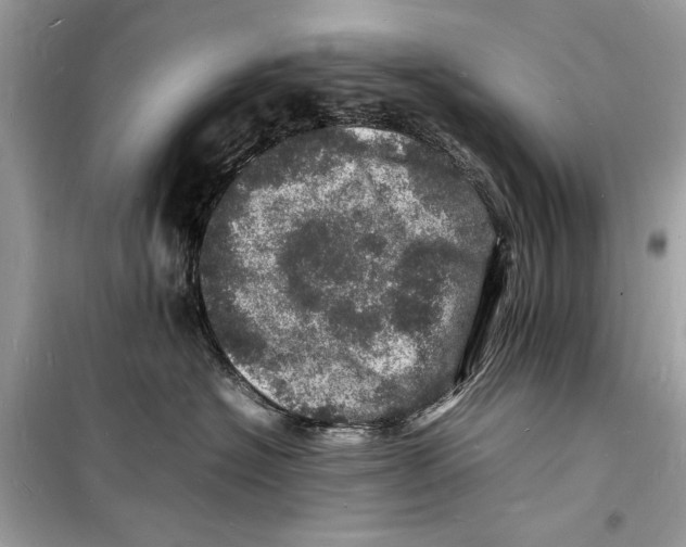 X0000098180574200805221540