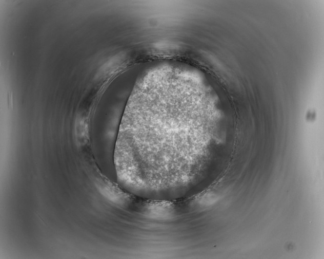 X0000098180576200805221540