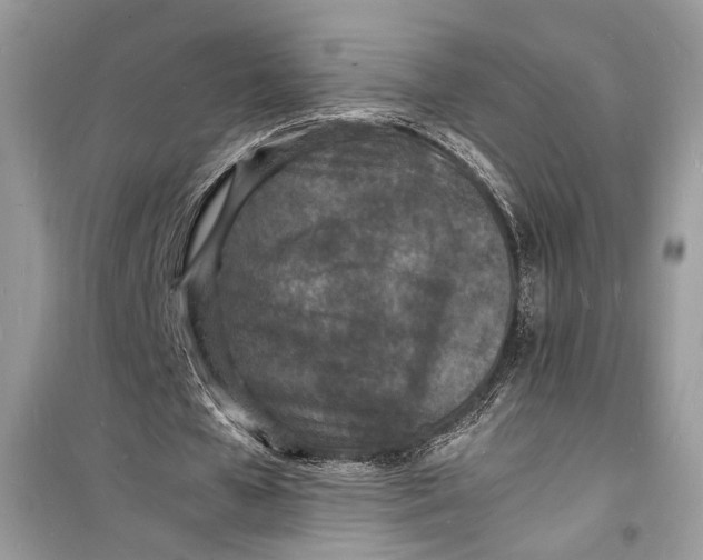 X0000098180577200805221539