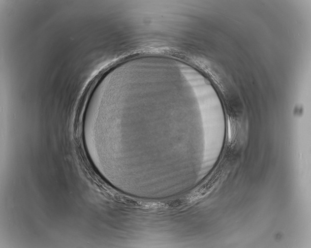 X0000098180579200805221539