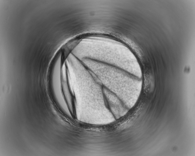 X0000098180580200805221539