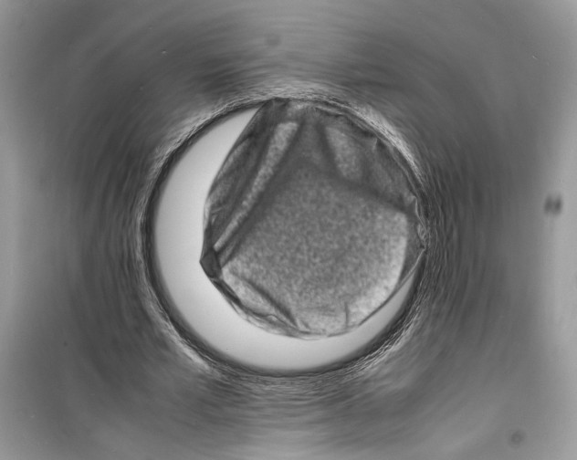 X0000098180581200805221539