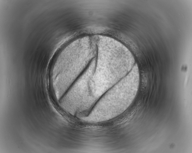 X0000098180582200805221539