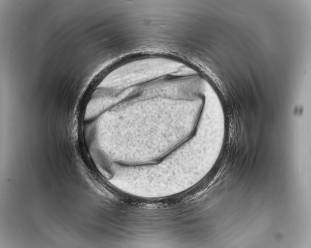 X0000098180584200805221539