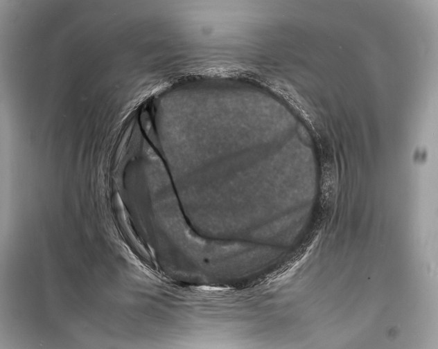 X0000098180585200805221539