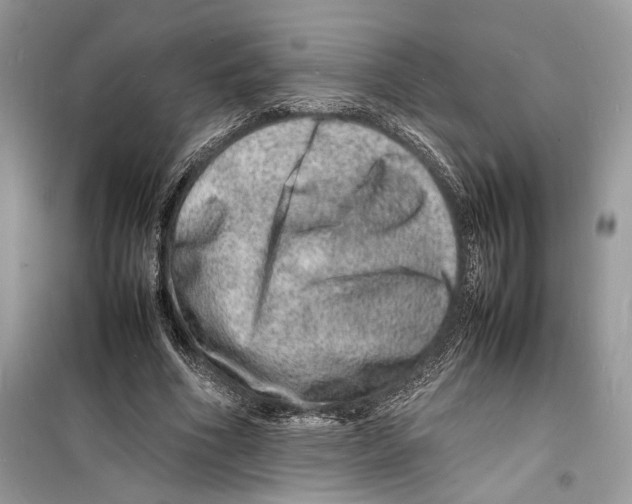 X0000098180586200805221539