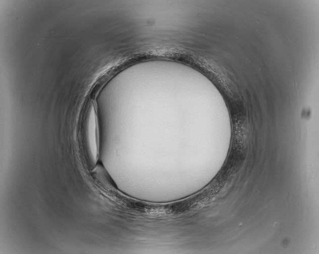 X0000098180587200805221539