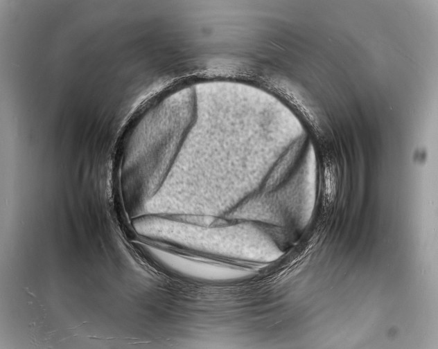 X0000098180588200805221539