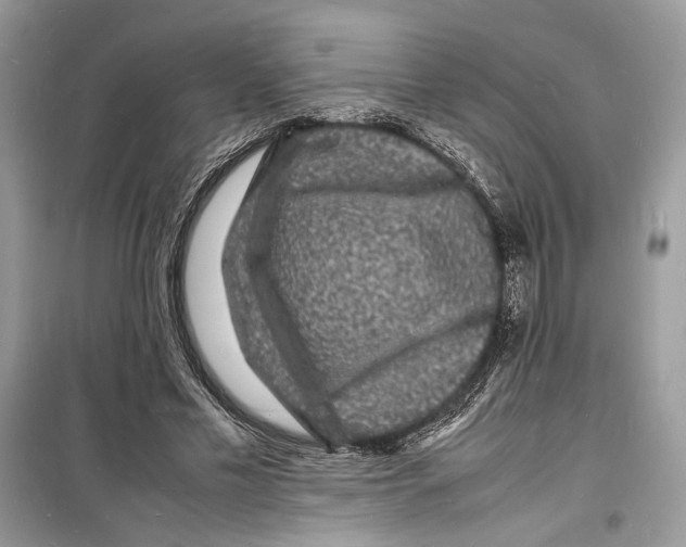 X0000098180589200805221539