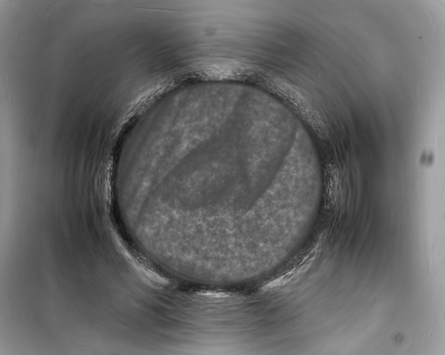 X0000098180590200805221539