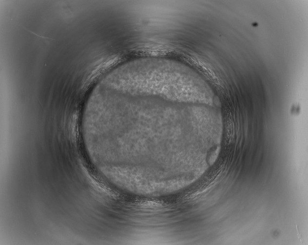 X0000098180594200805221539