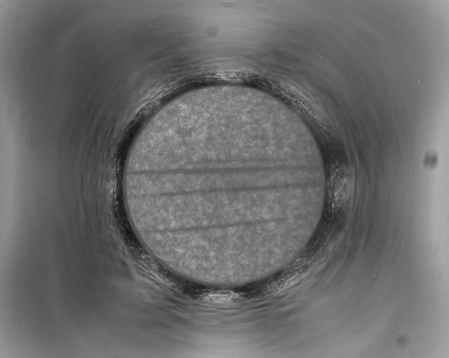 X0000098180595200805221539