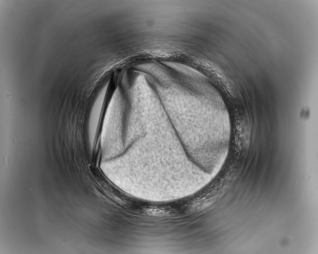 X0000098180596200805221539