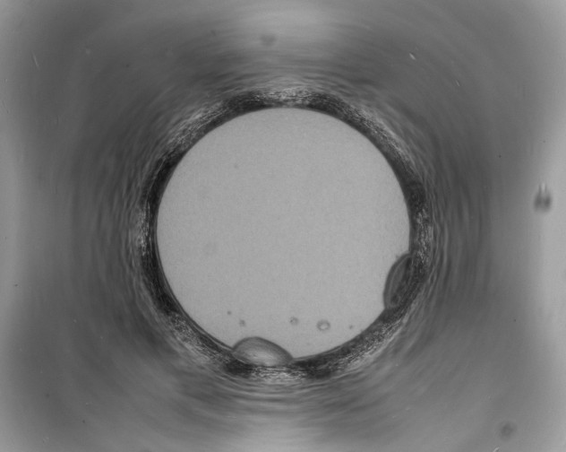 X0000098180597200805221539