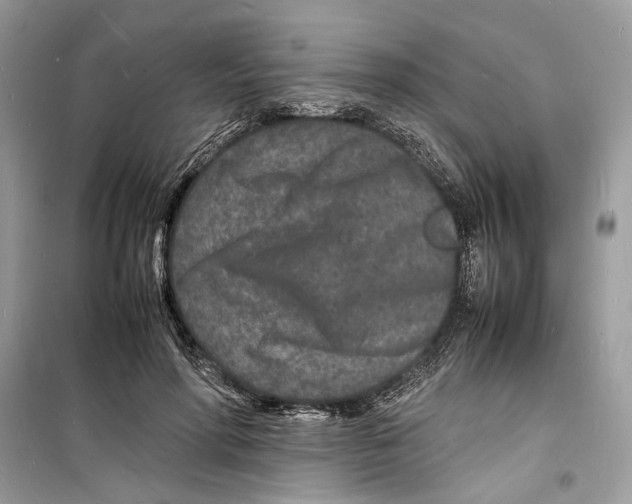 X0000098180598200805221539