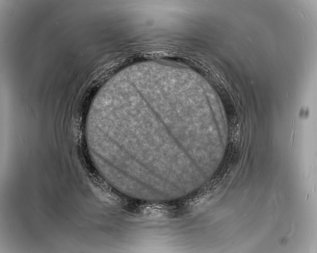 X0000098180599200805221539