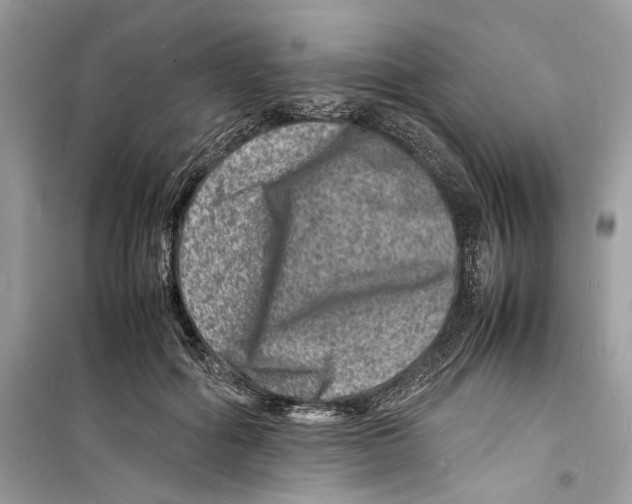 X0000098180602200805221539