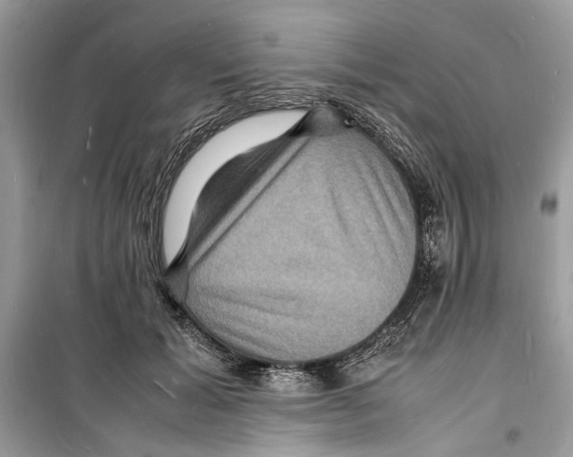 X0000098180605200805221539